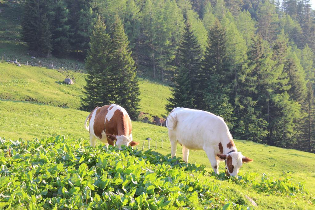 Salzburger Dolomitenhof Аннаберг-им-Ламмерталь Экстерьер фото