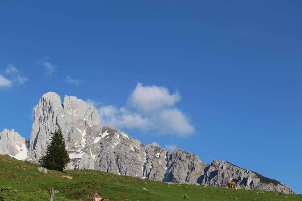 Salzburger Dolomitenhof Аннаберг-им-Ламмерталь Экстерьер фото