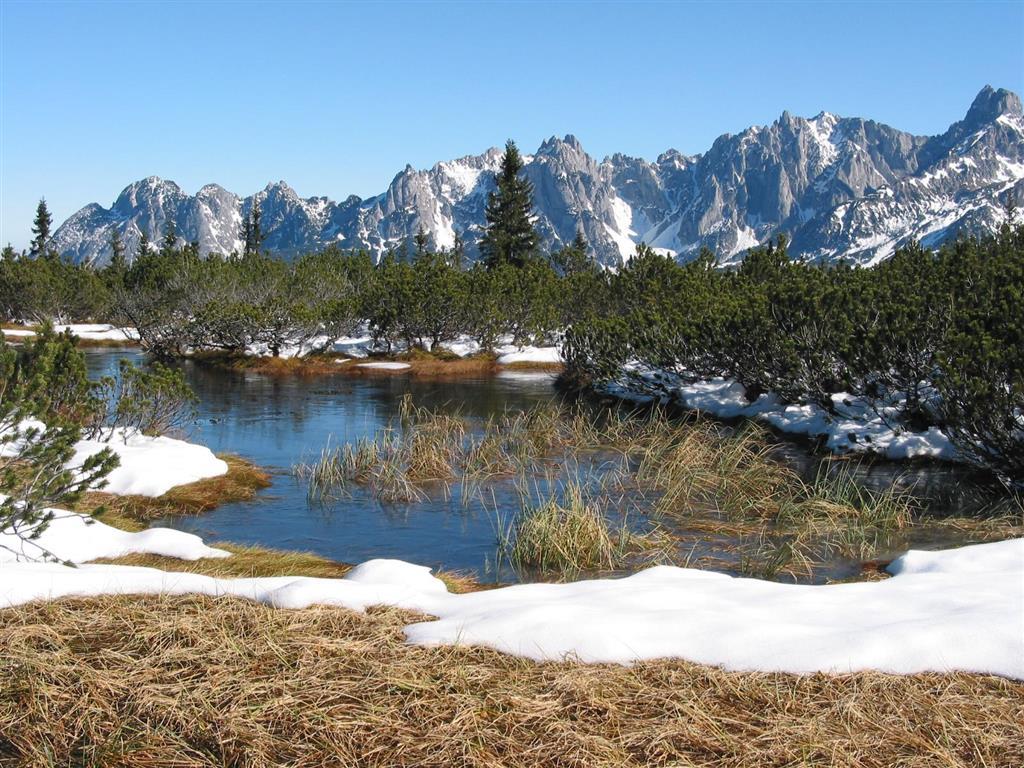 Salzburger Dolomitenhof Аннаберг-им-Ламмерталь Экстерьер фото